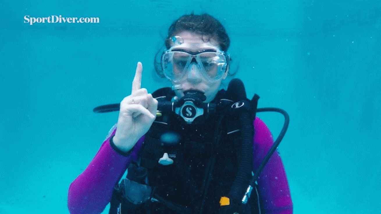 scuba diving hand signals