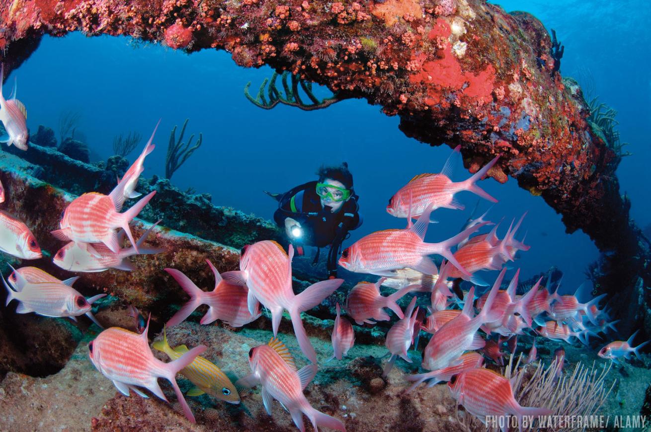 british virgin islands
