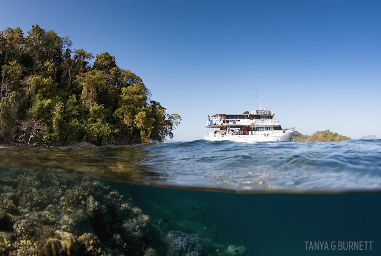 FeBrina liveaboard in Papua New Guinea 