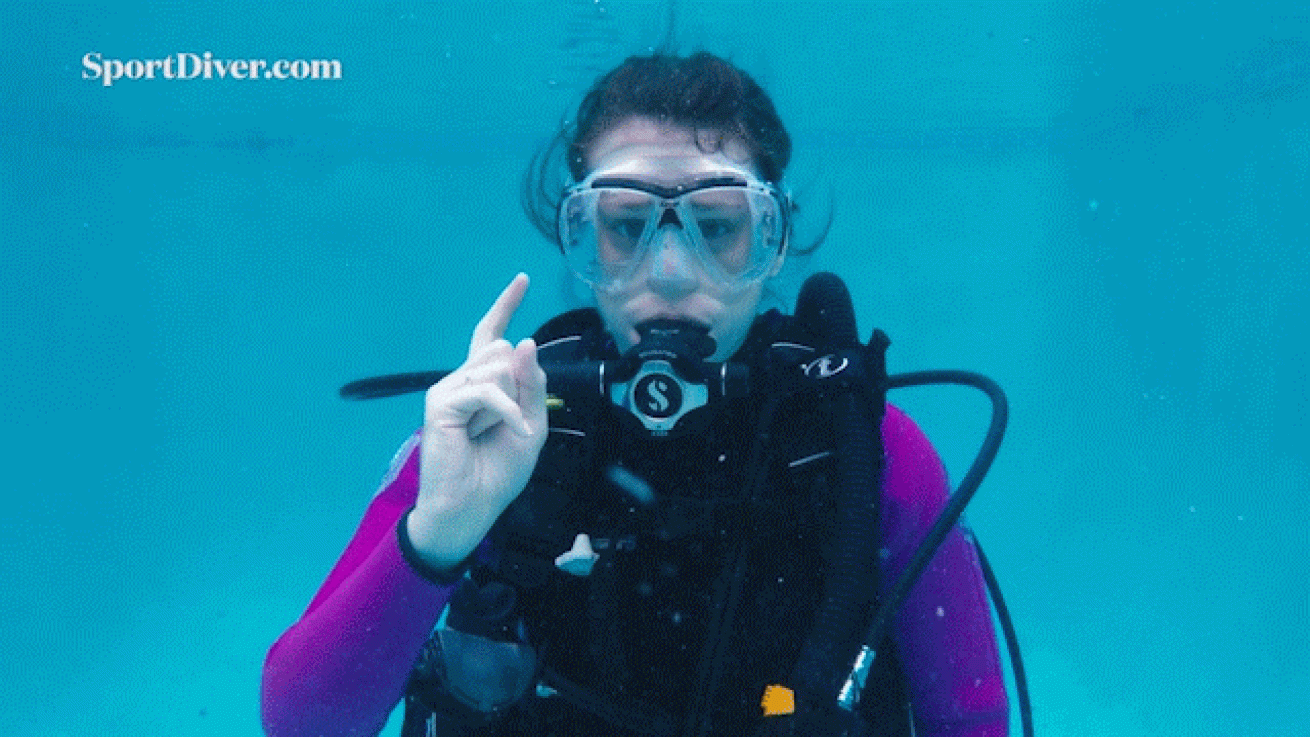 scuba diving hand signals