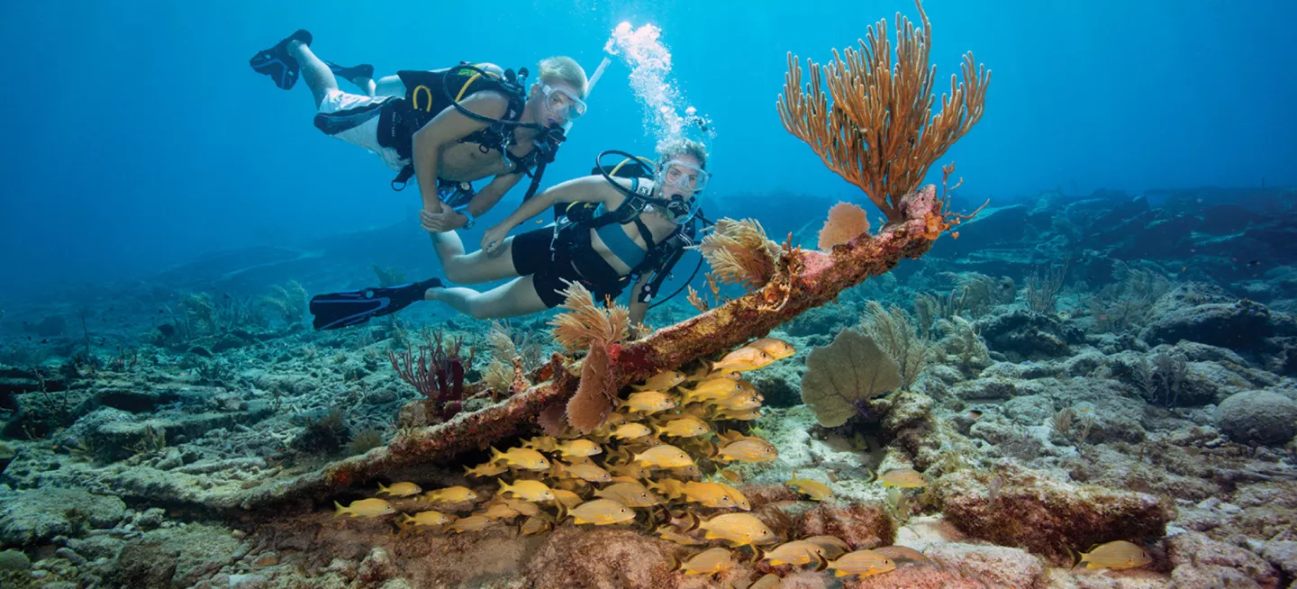 divers underwater