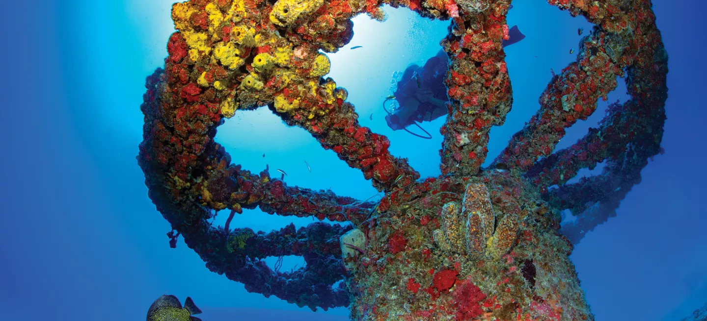 diver on a wreck