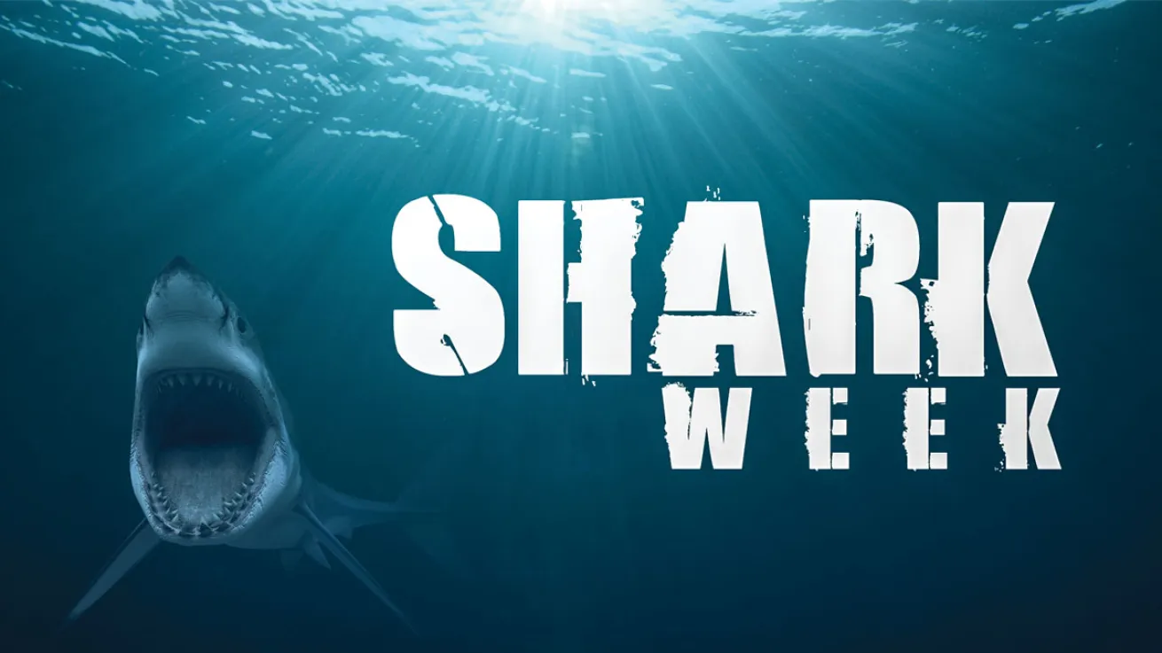SHARK WEEK IS BORN