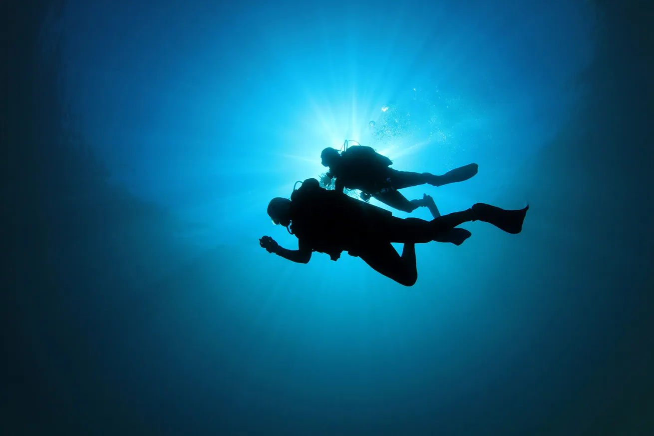 Scuba divers silhouette 