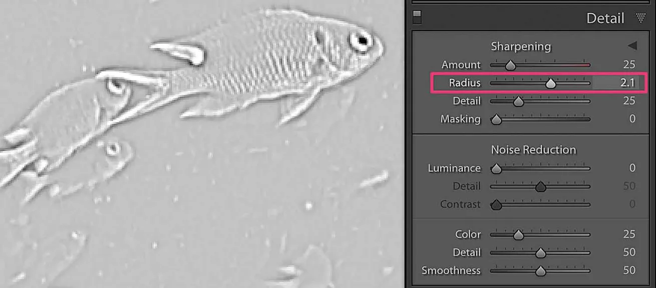 Adobe Lightroom Catalog Tutorial Tips Keyboard Shortcuts 
