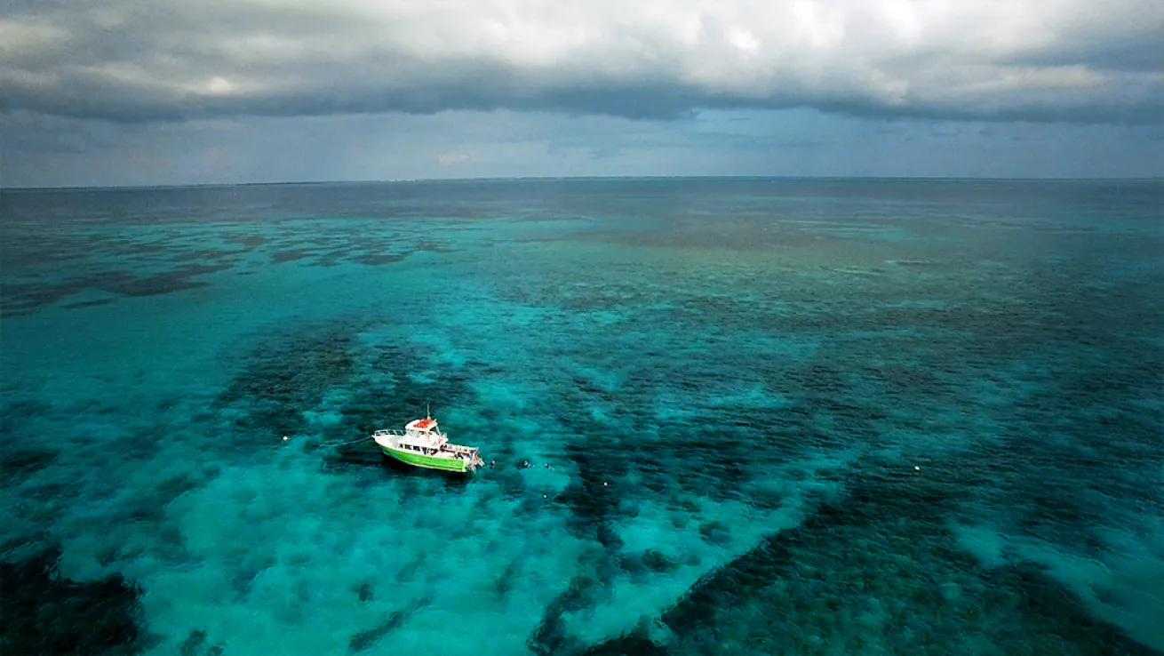 For over 40 years, Ocean Divers has been Key Largo's premier dive operation.