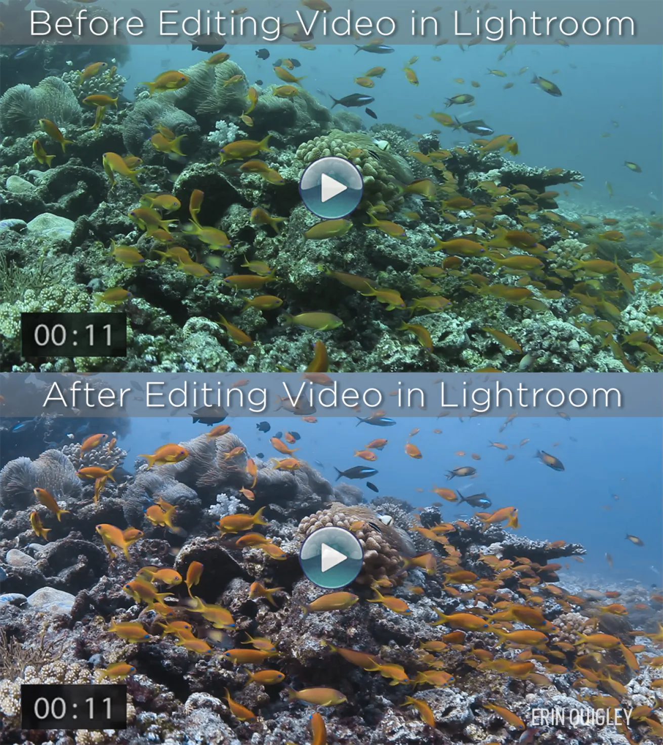 lightroom video editing tips 
