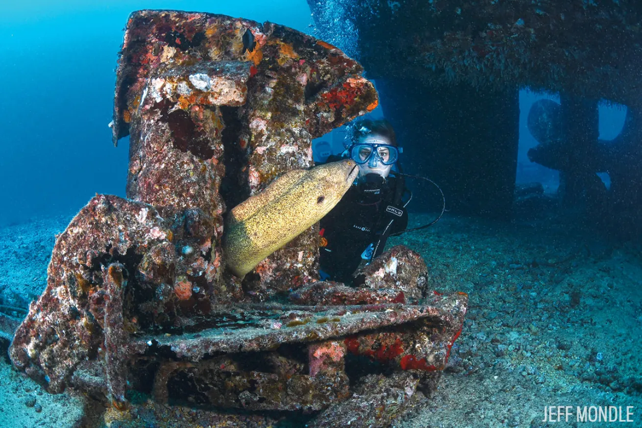 Navy Tug Dive Oahu