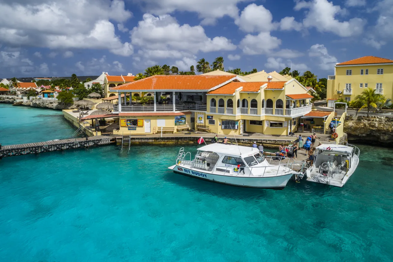 Buddy Dive Resort 