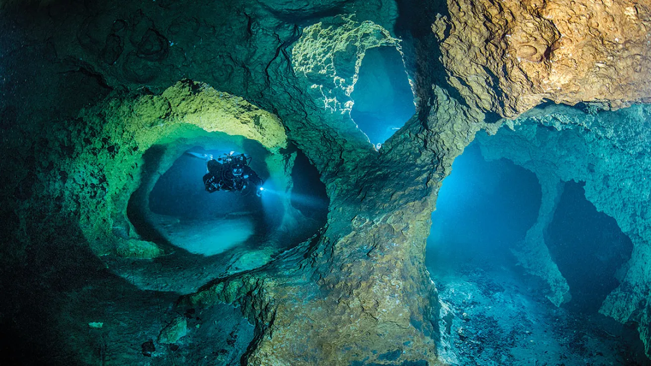 peacock springs