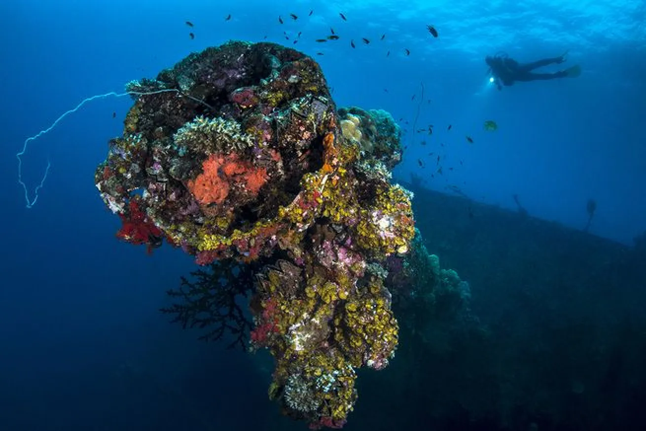 micronesia