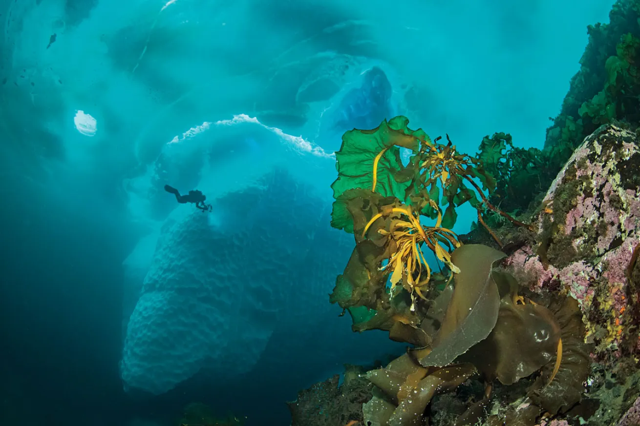 Ice Diving in Greenland
