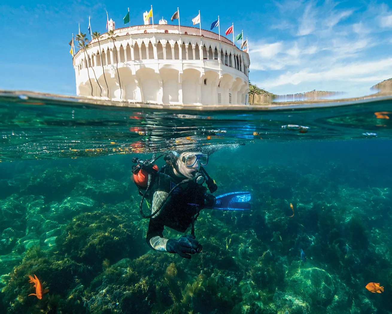 Scuba Diver Off Catalina Island