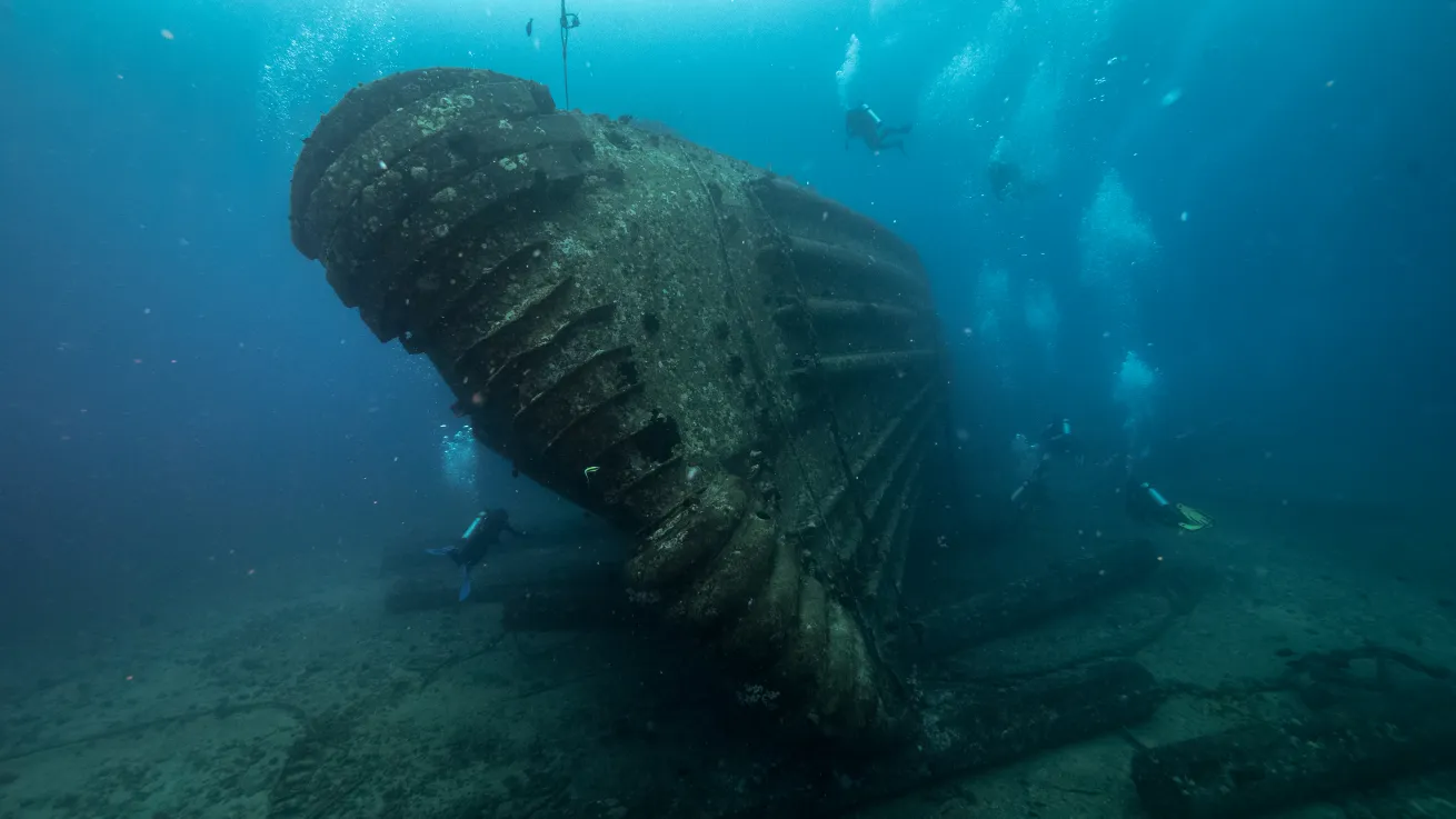 Dive Oahu
