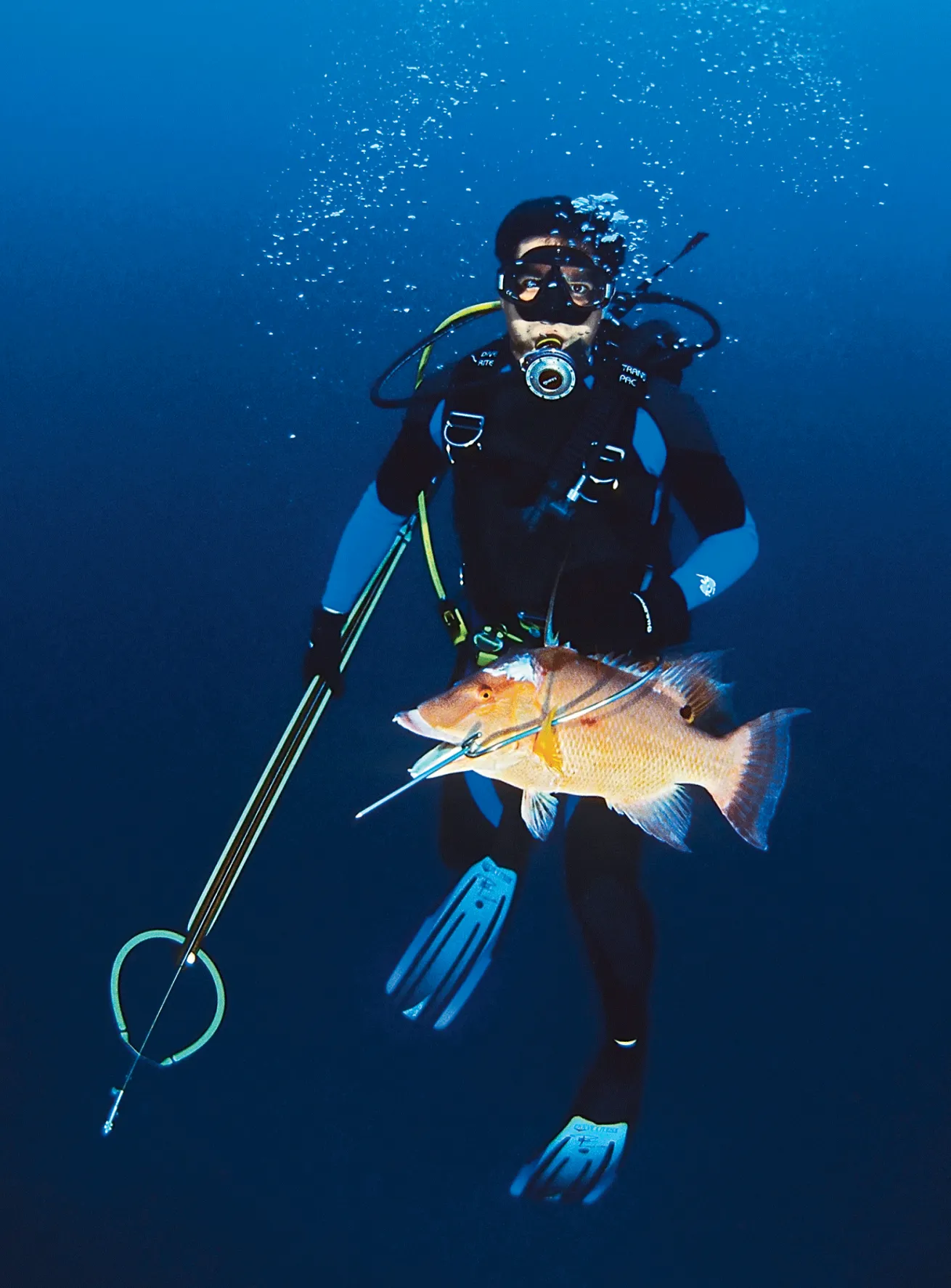 spearfishing on scuba