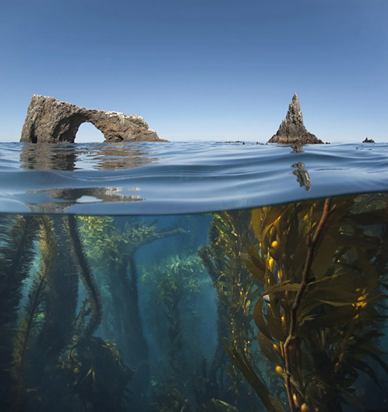 Anacapa