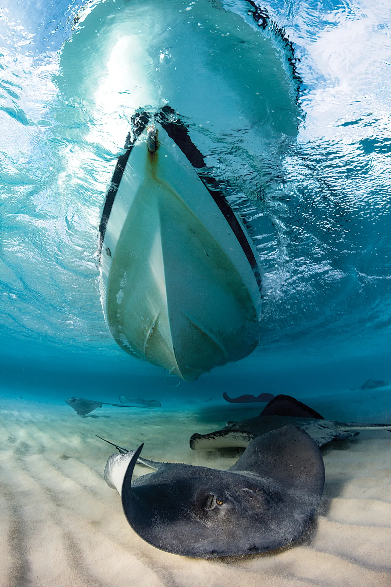 best scuba diving destinations 