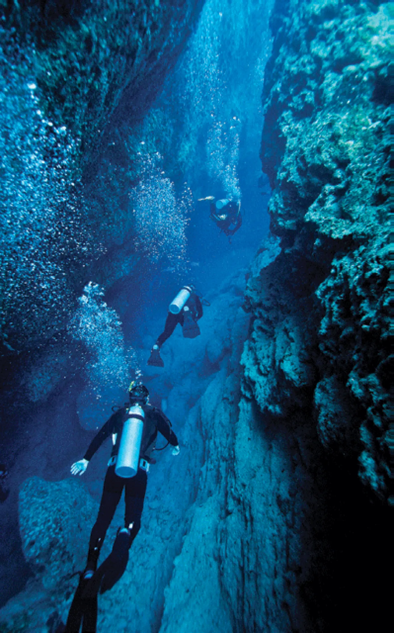 scuba diving blue holes in bahamas 