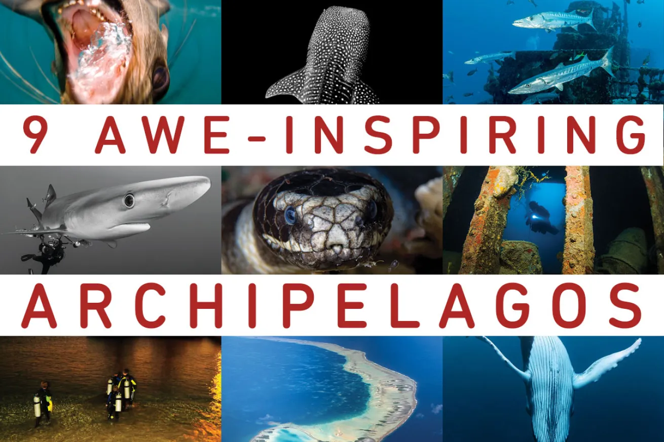 Archipelagos