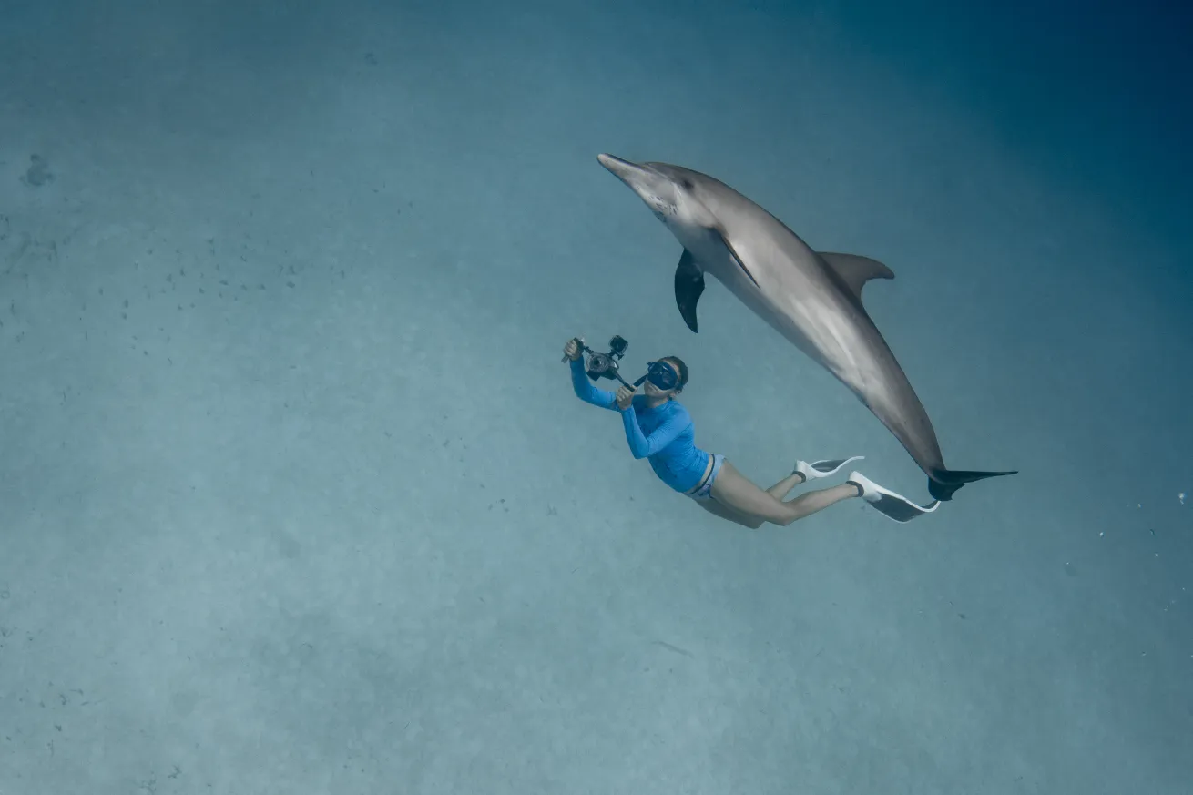 Freediver swims with a curious Atlantic spotted dolphin in the Bahamas