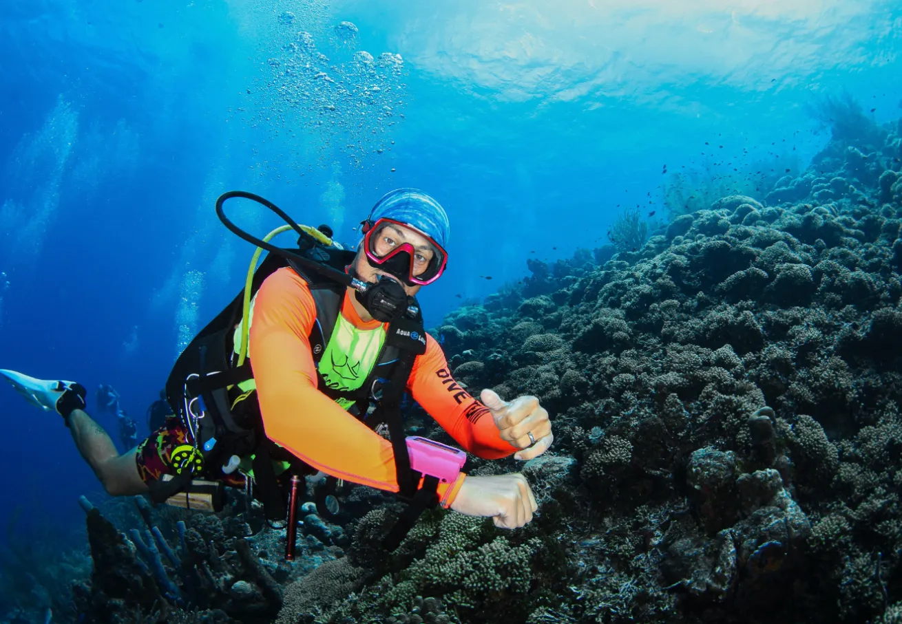 A scuba diver in the water