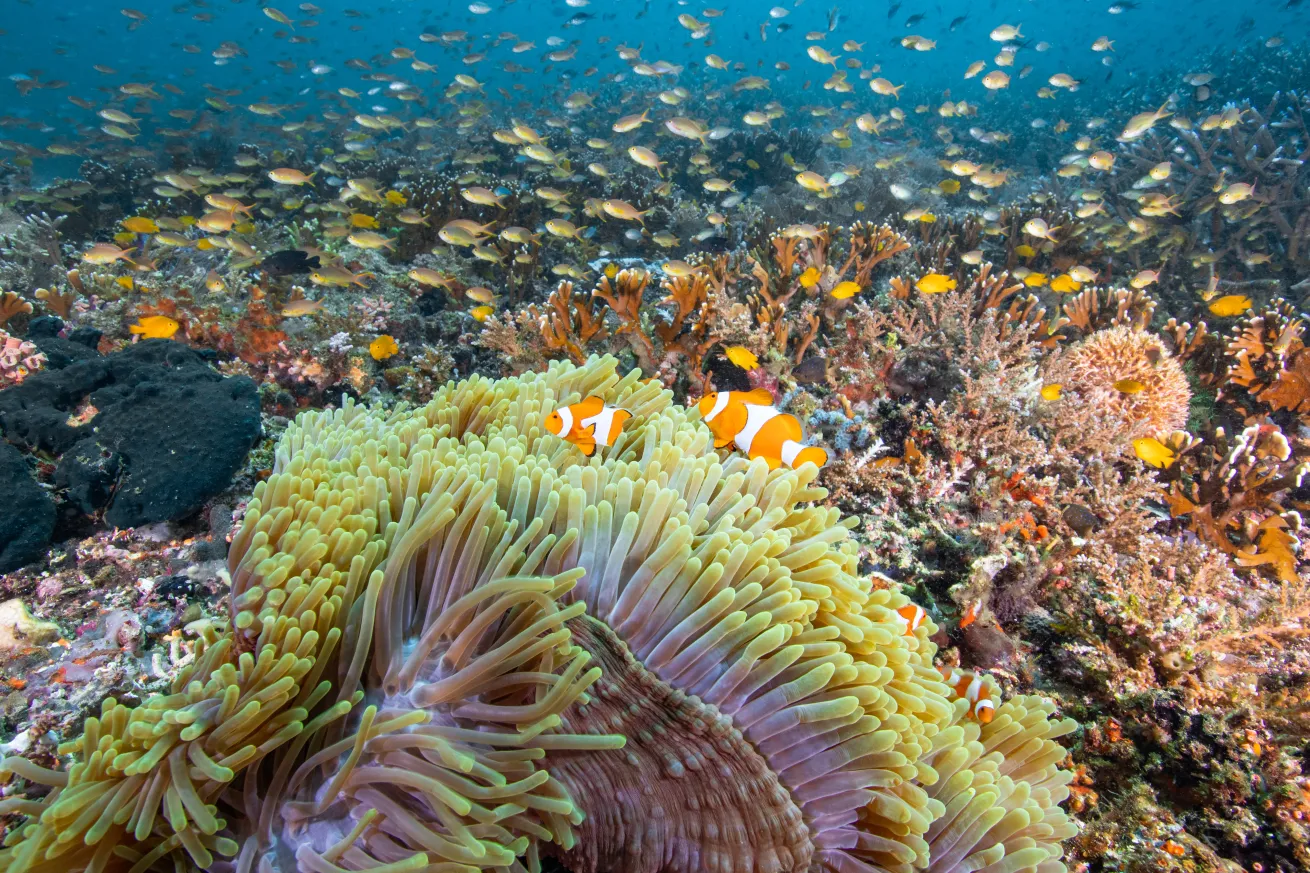 Reef & Rainforest is experienced in planning trips to all corners of the globe.