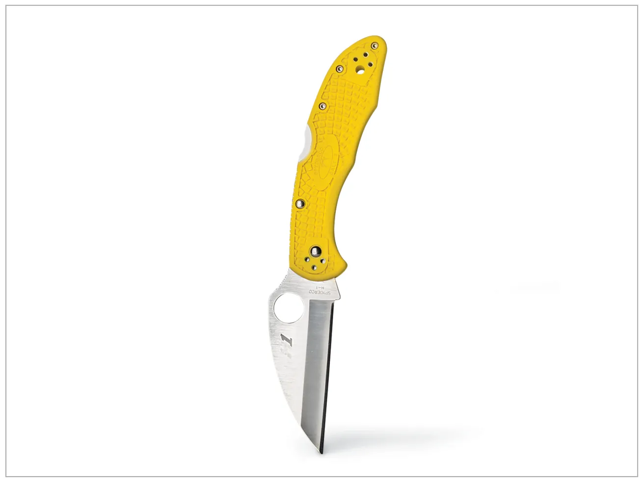 Spyderco Salt 2 Wharncliffe Plain Edge