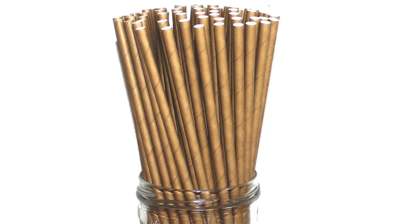 World Brand 300 Dye-Free Biodegradable PREMIUM Paper Straws