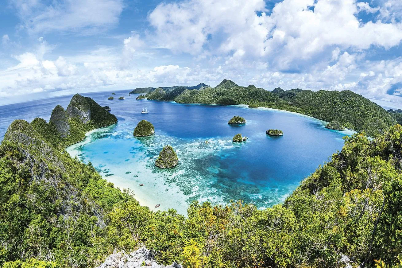 beautiful aerial  image of crystal blue water and lush forest in Raja Ampat