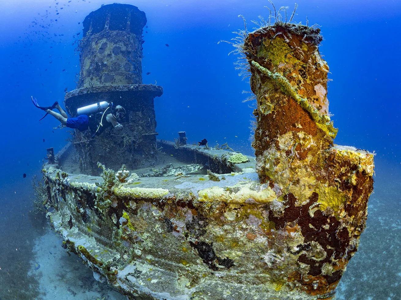 The wreck of the Corinthian, an intact tugboat that sank in 1995, rests upright in the sand next to a thriving coral reef in about 60 feet of water.

