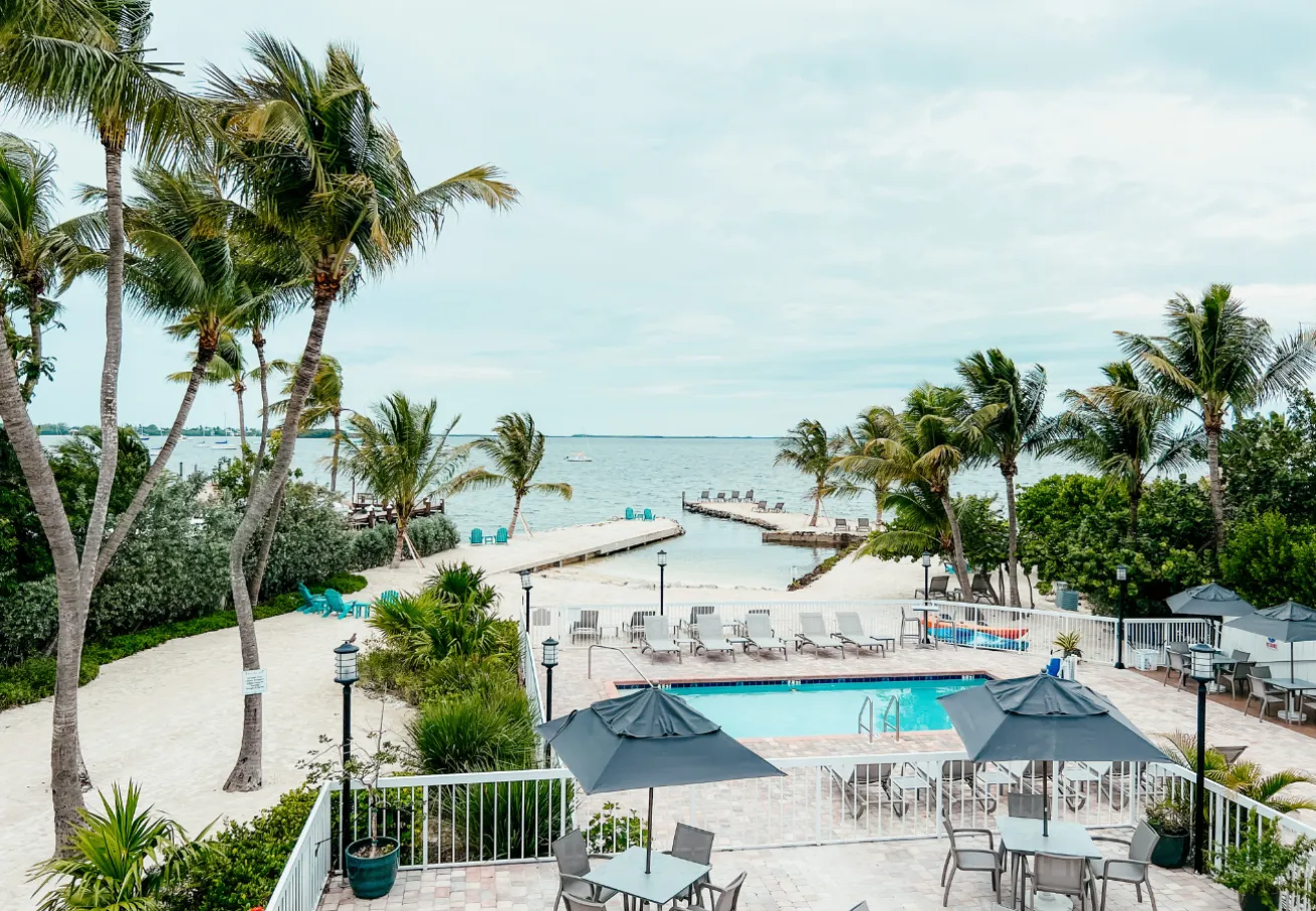 A pool and palm trees by a dock in Key Largo