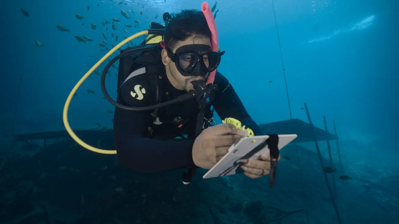 a diver recording data underwater on a clipboard at blue grotto dive resort florida