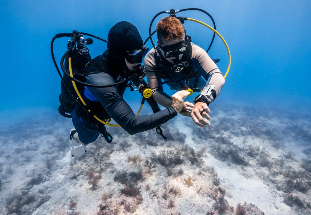 two divers underwater in the florida keys doing navigation training