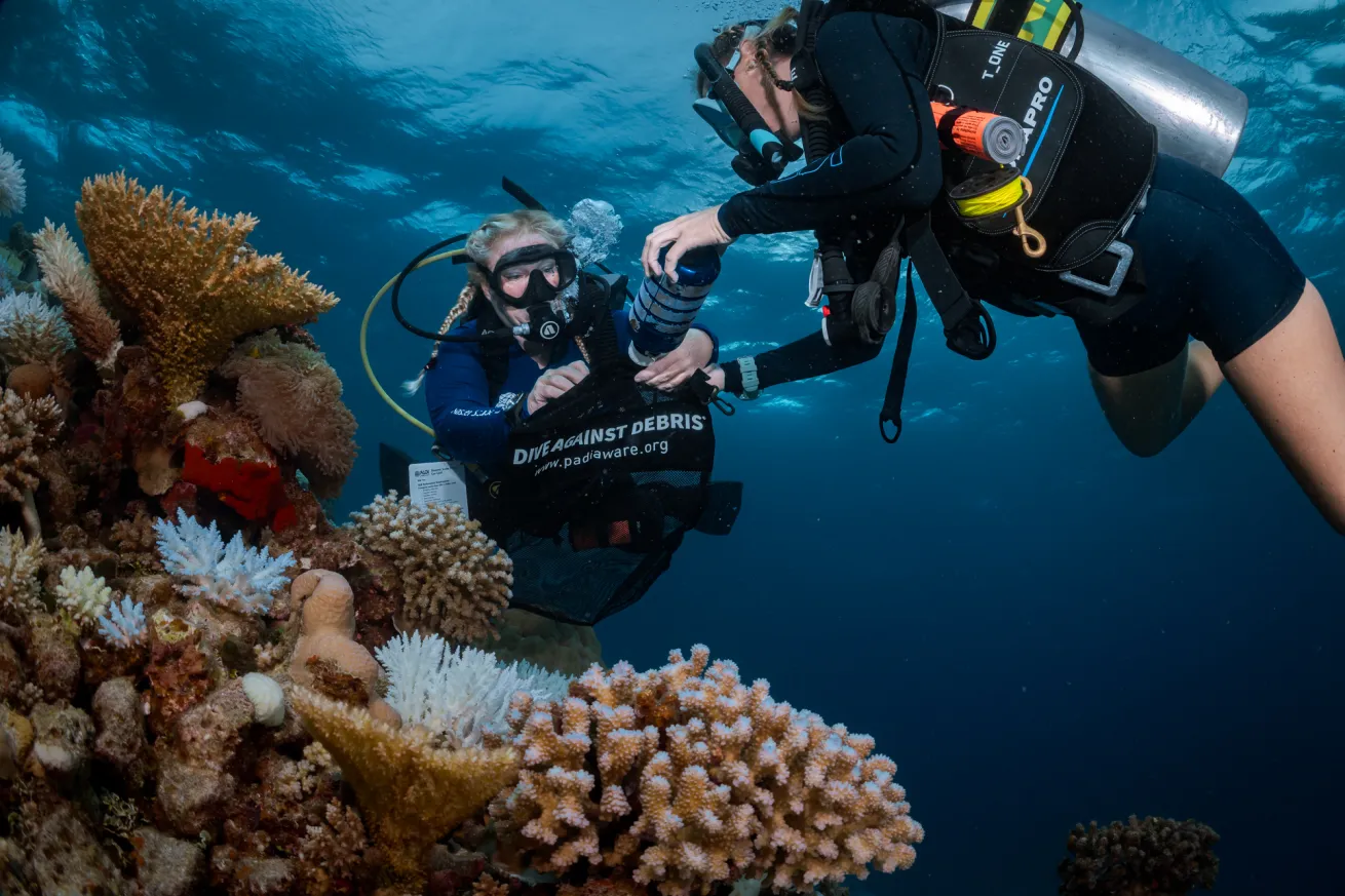 divers collect trash off a reef