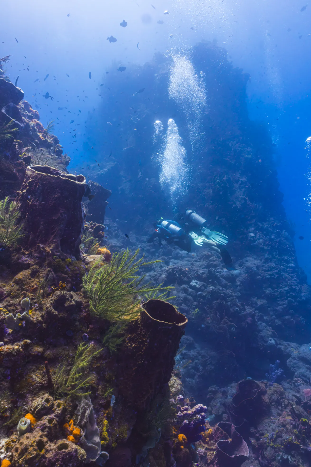 Divers at Man O’ War Shoals.