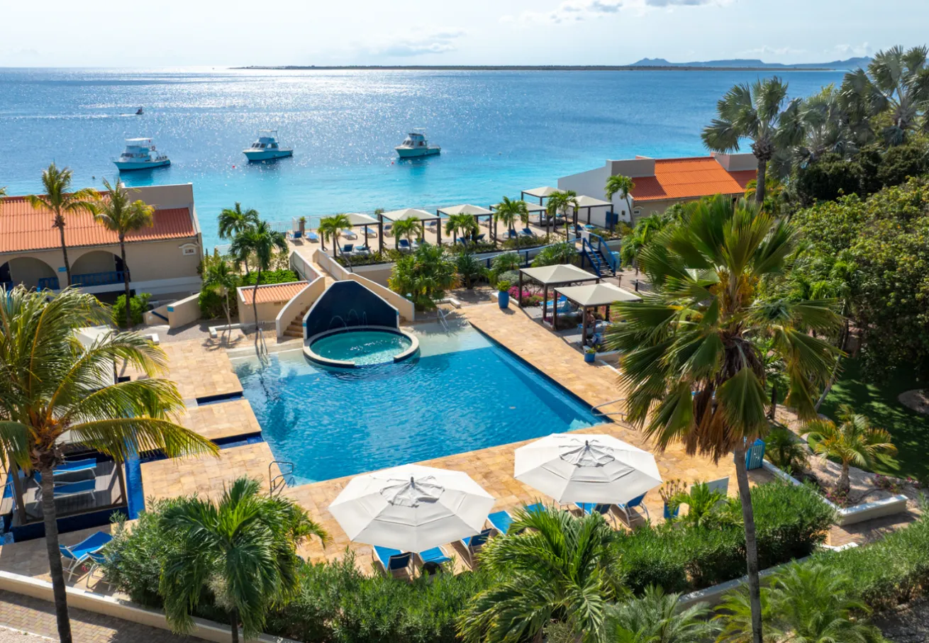 A swimming pool with palm trees and boats in the water