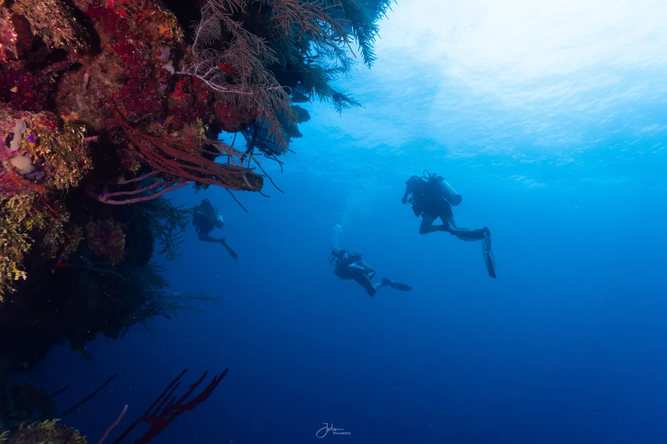 Mayan Divers staff are skilled at pointing out the marine life that makes Roatan a dive hotspot.