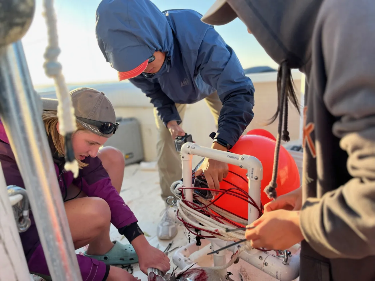 During his activities at his NPO, O'Seas Conservation Foundation, Inc., Dr. Craig O'Connell practices experiential learning where his students get hands on training in Engineering, Science and Shark Behavioral research.  In this image, his students are designing and building their own baited remote underwater video systems (BRUVS) so they can conduct remote surveillance of the Shark Exclusion Barrier in Chatham, Cape Cod.
