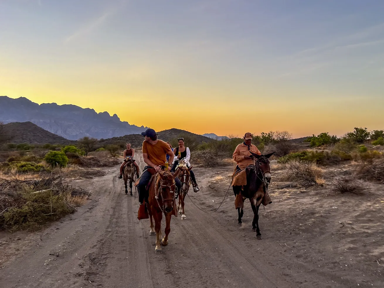 A beach ride on horseback.