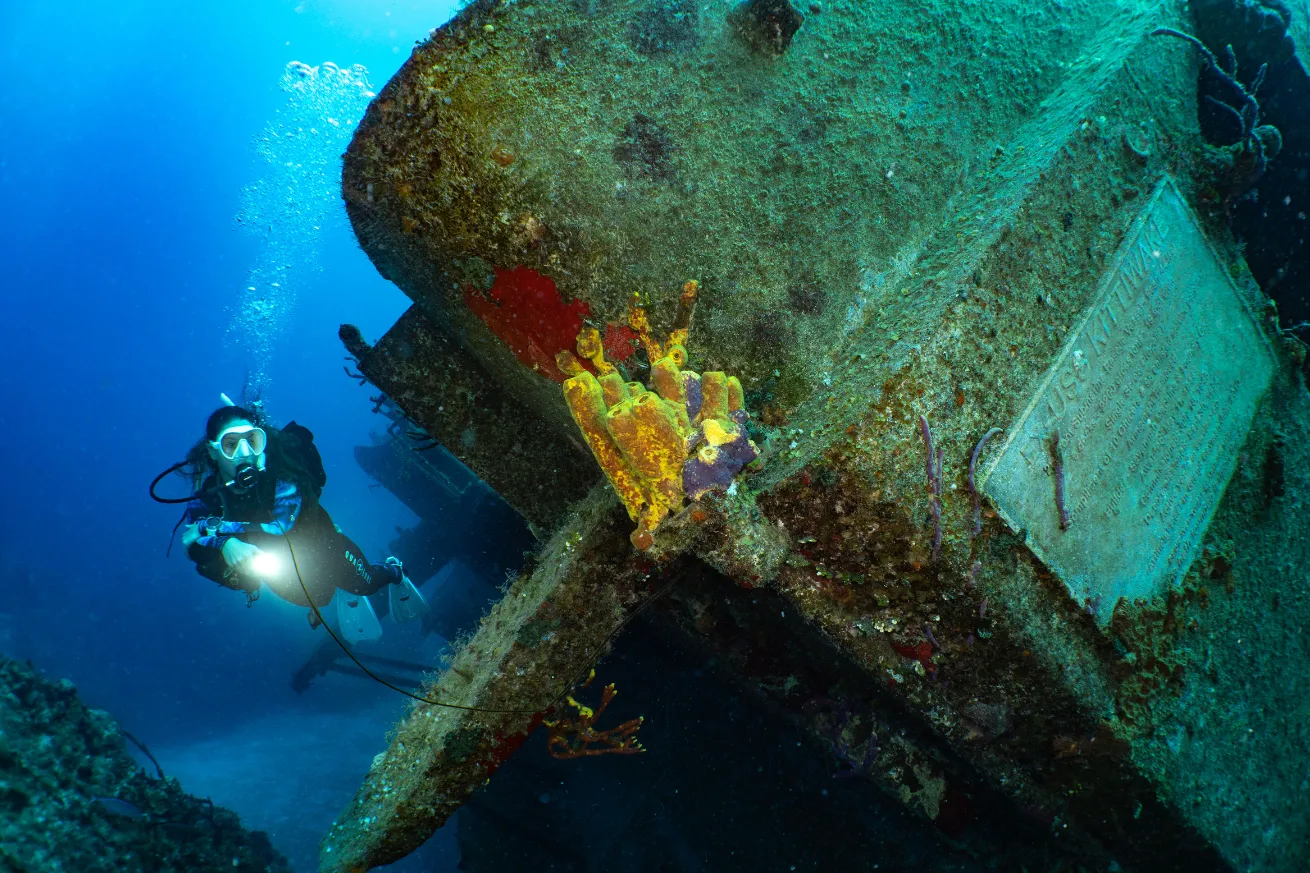 A scuba diver underwater with a shipwreck