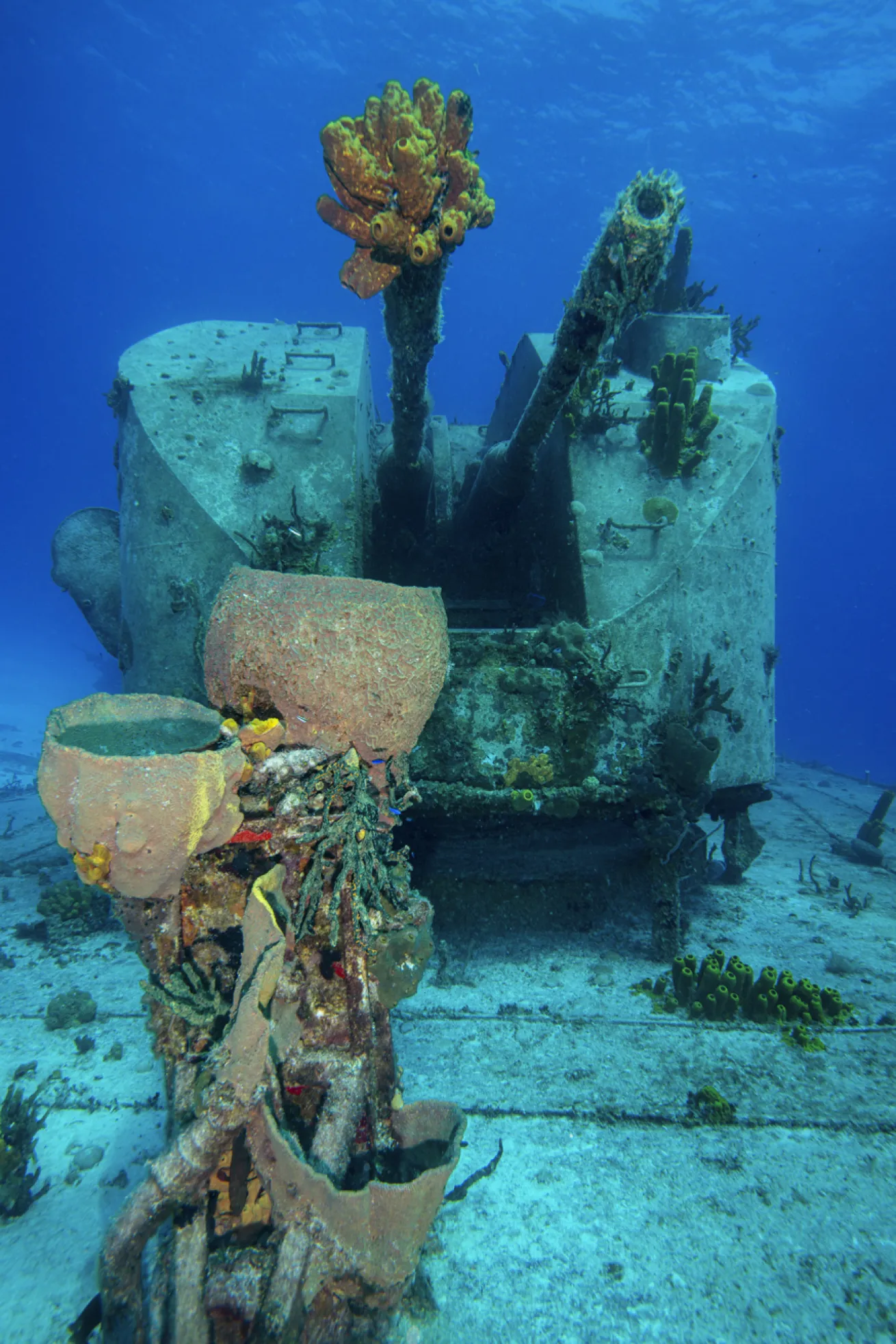 A gun atop the deck of the *Captain Keith Tibbetts* wreck is covered in growth.