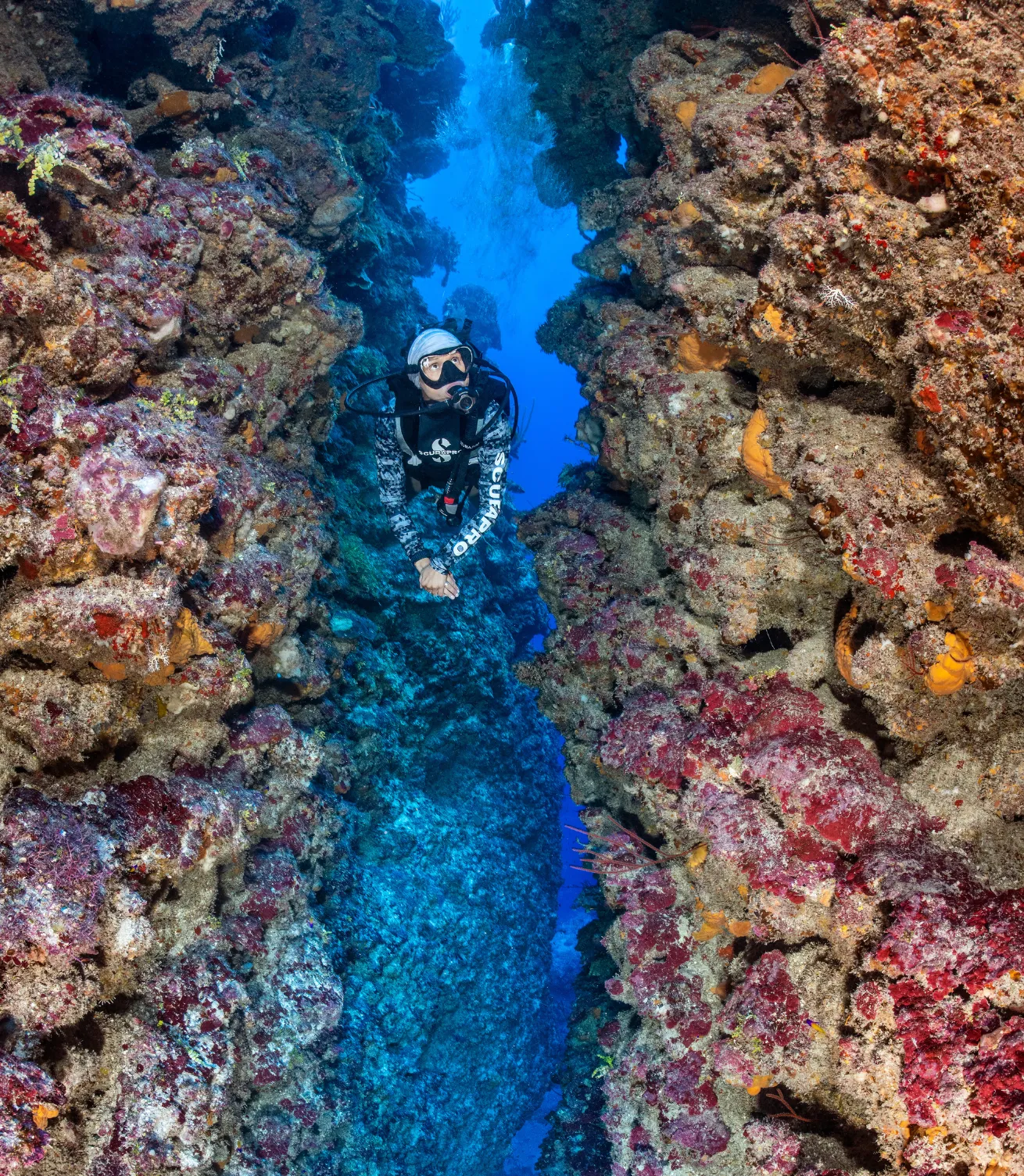 A person scuba diving under water