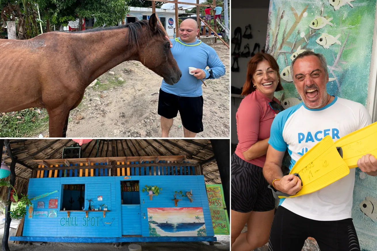 Topside, divers soak up the island’s laid-back reggae vibes and get up close with the horses that roam near Sirius Dive Center.