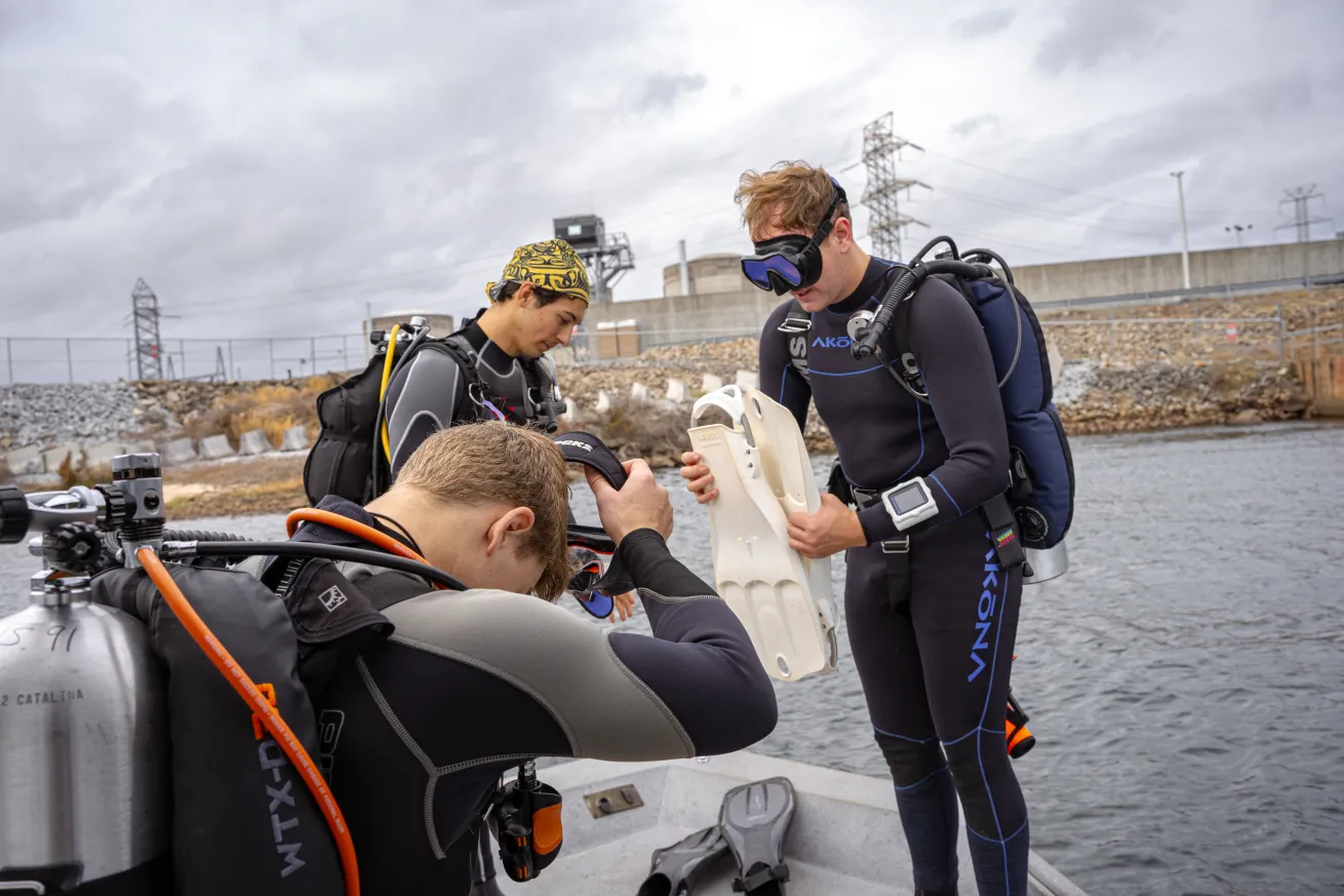 divers get ready to ride the current.