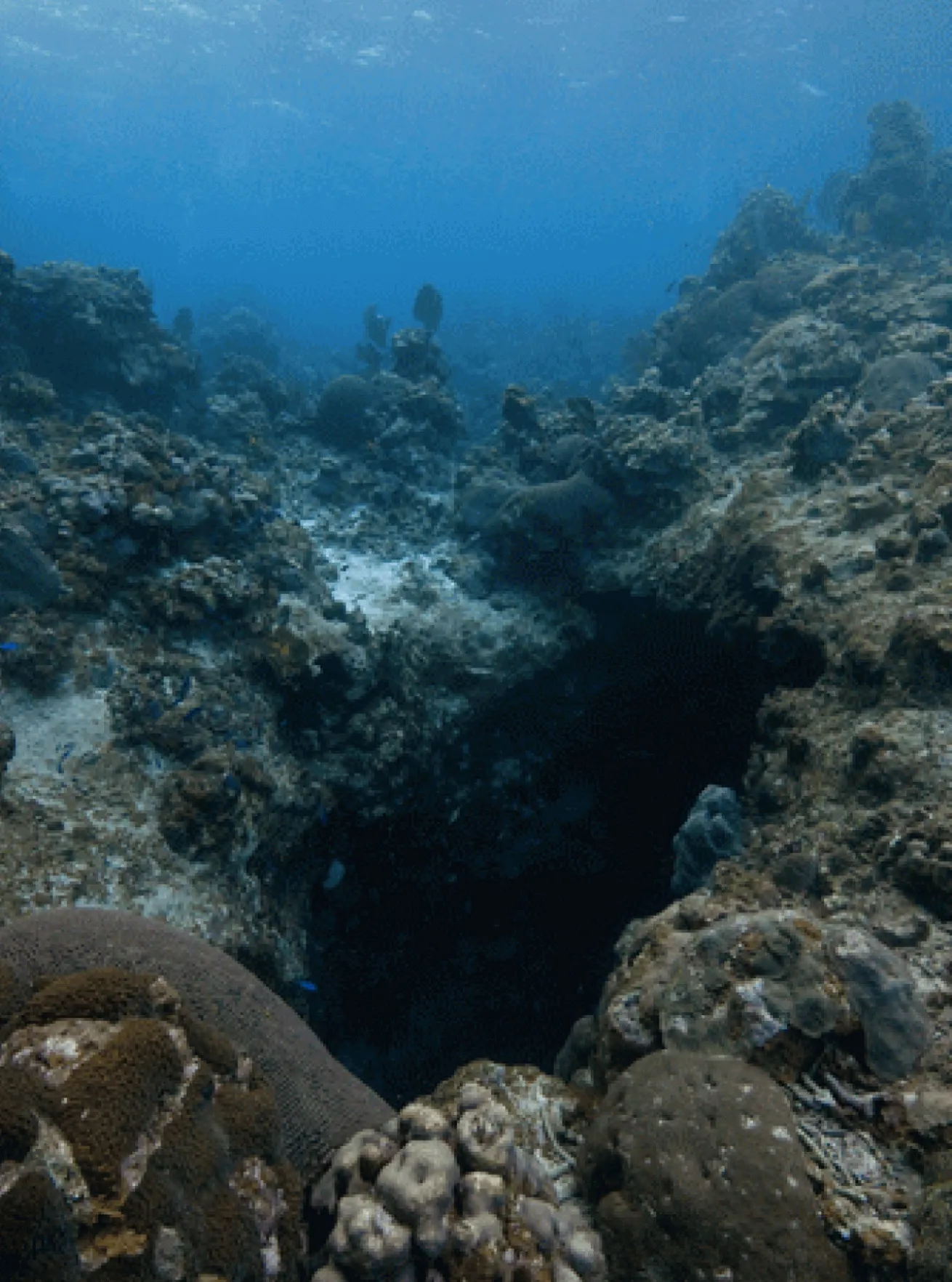 Jake's Hole