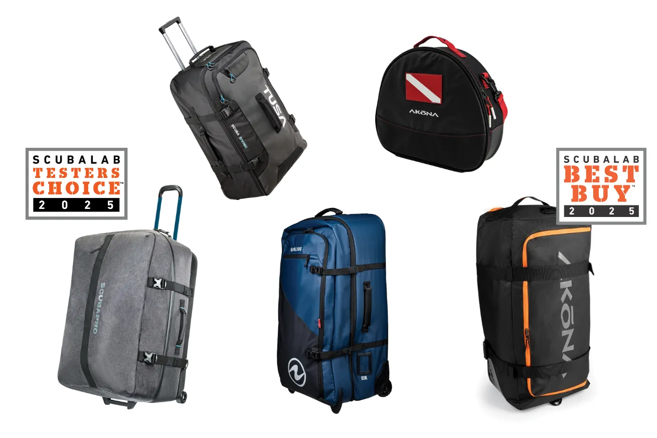 best dive bags of 2025 reviewed