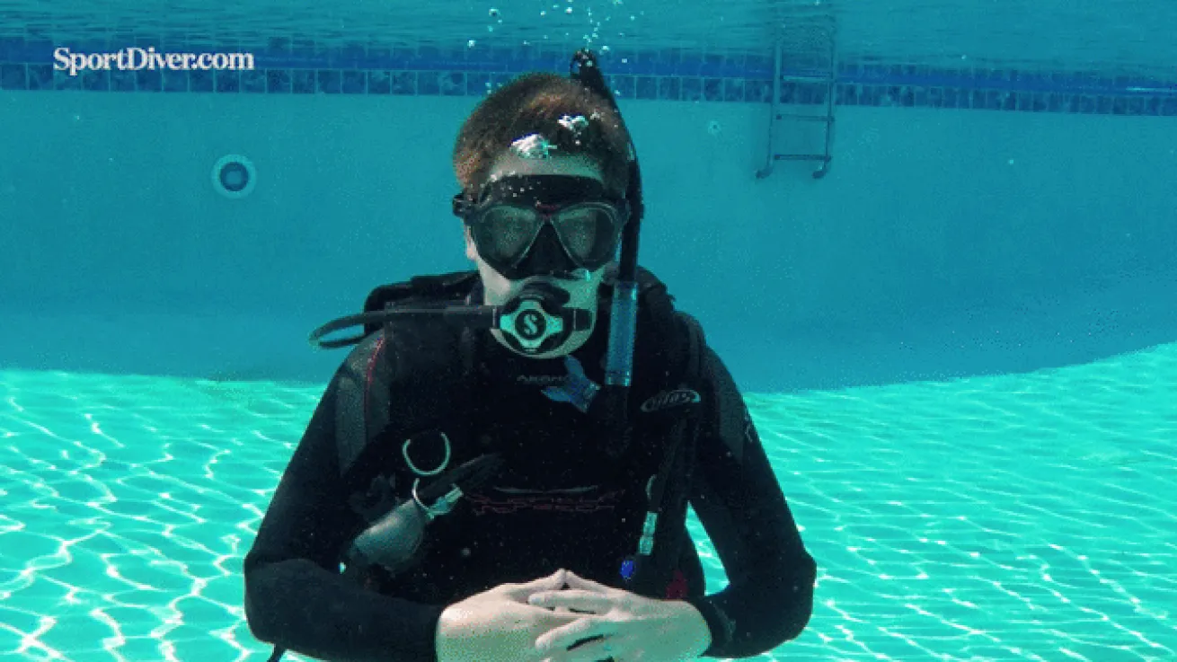 Boxfish hand signal