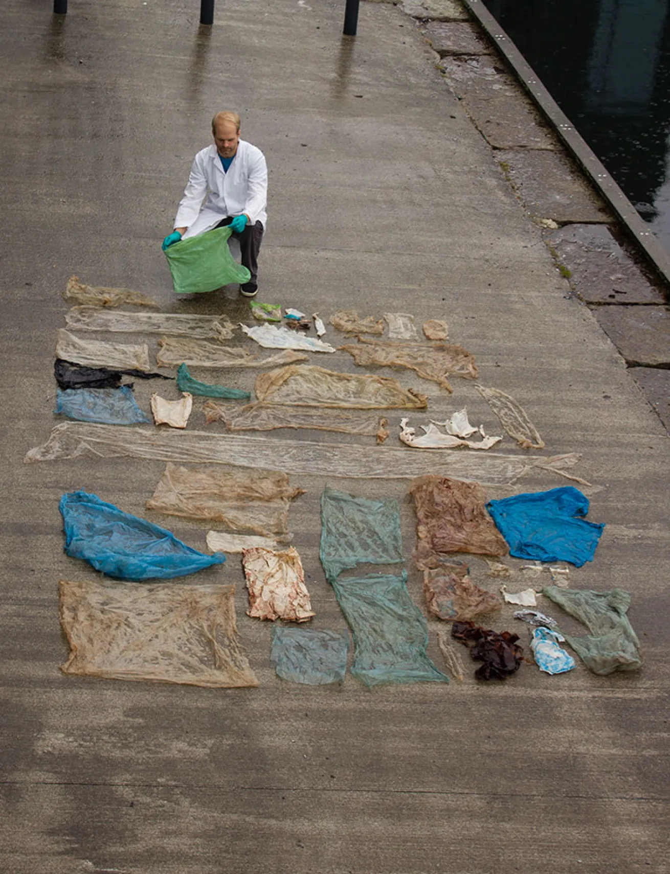 researchers lay out the bags found inside the whale's stomach