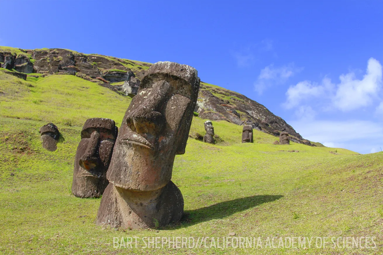 easter island carvings