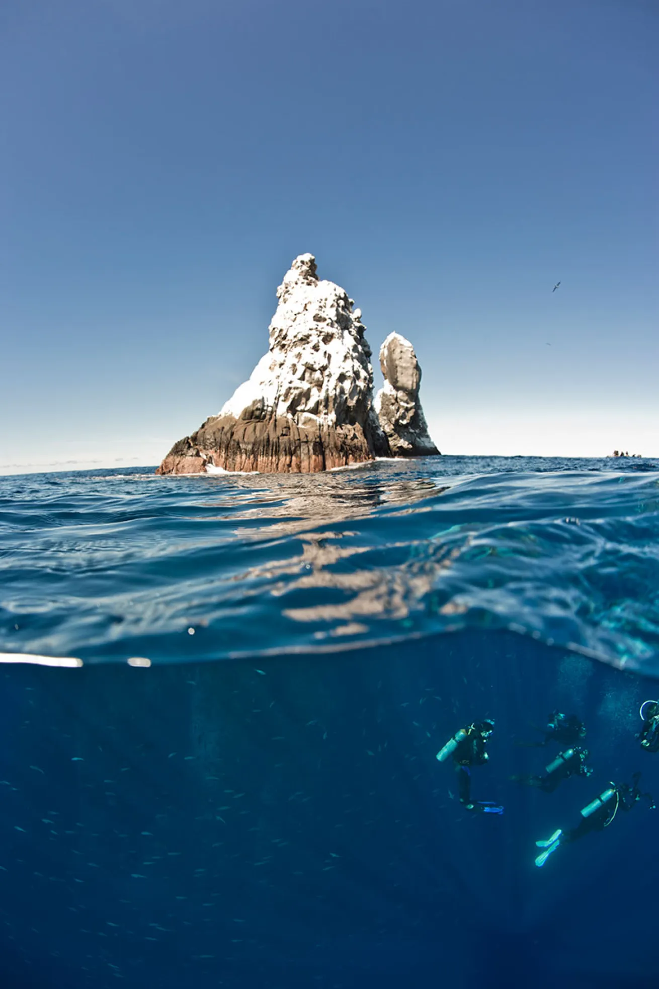 roca partida scuba diving national park
